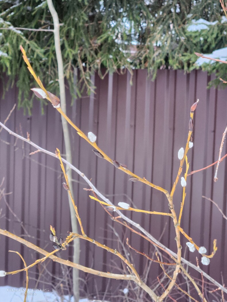 ��� ���� �633 �����������������������