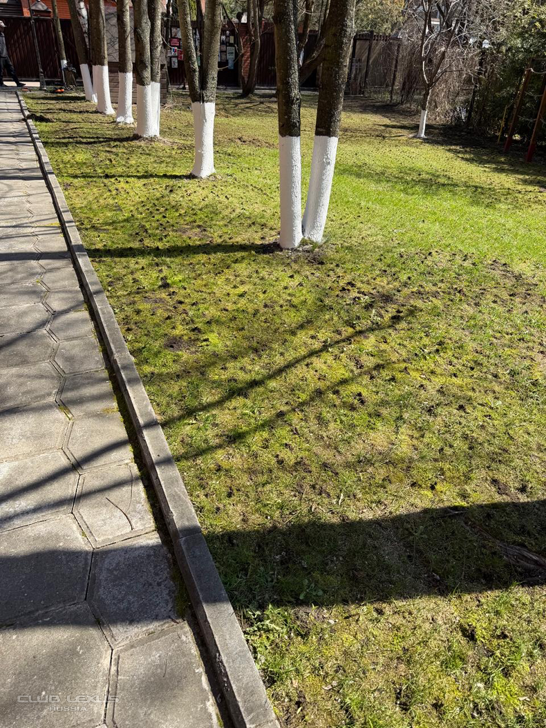 ��� ���� �636 ������������������������������