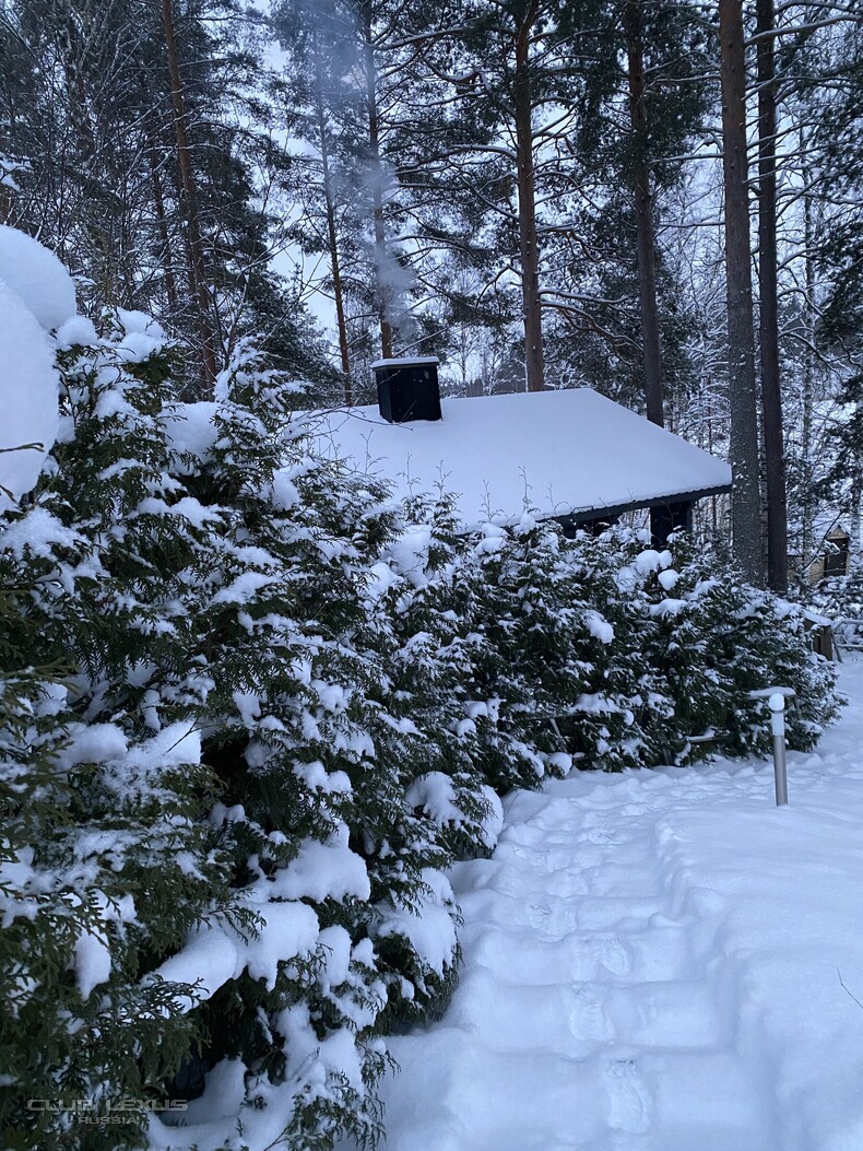 ��� ���� �631 ��������������