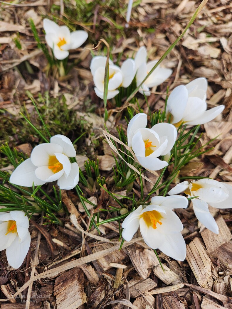 ��� ���� �635 ��������������������������