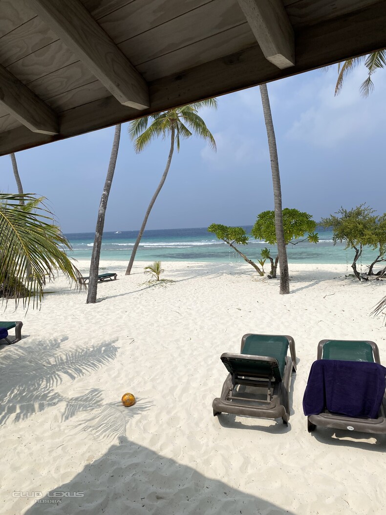 ��� ���� �631 ��������������