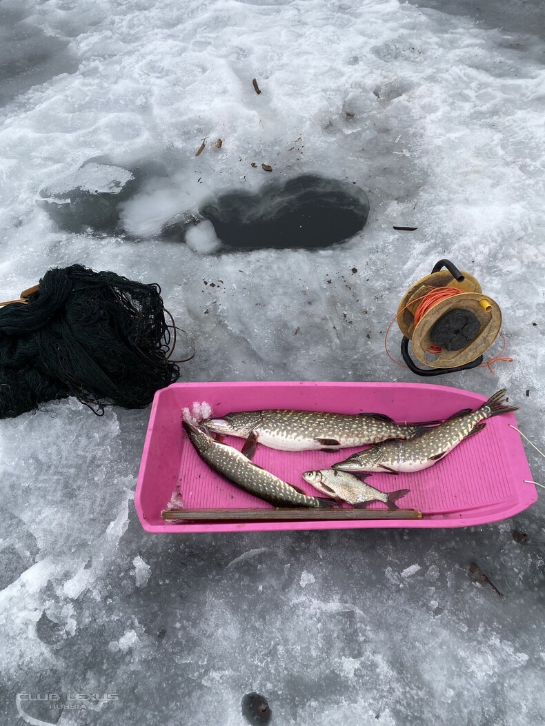 ��� ���� �634 �������������������