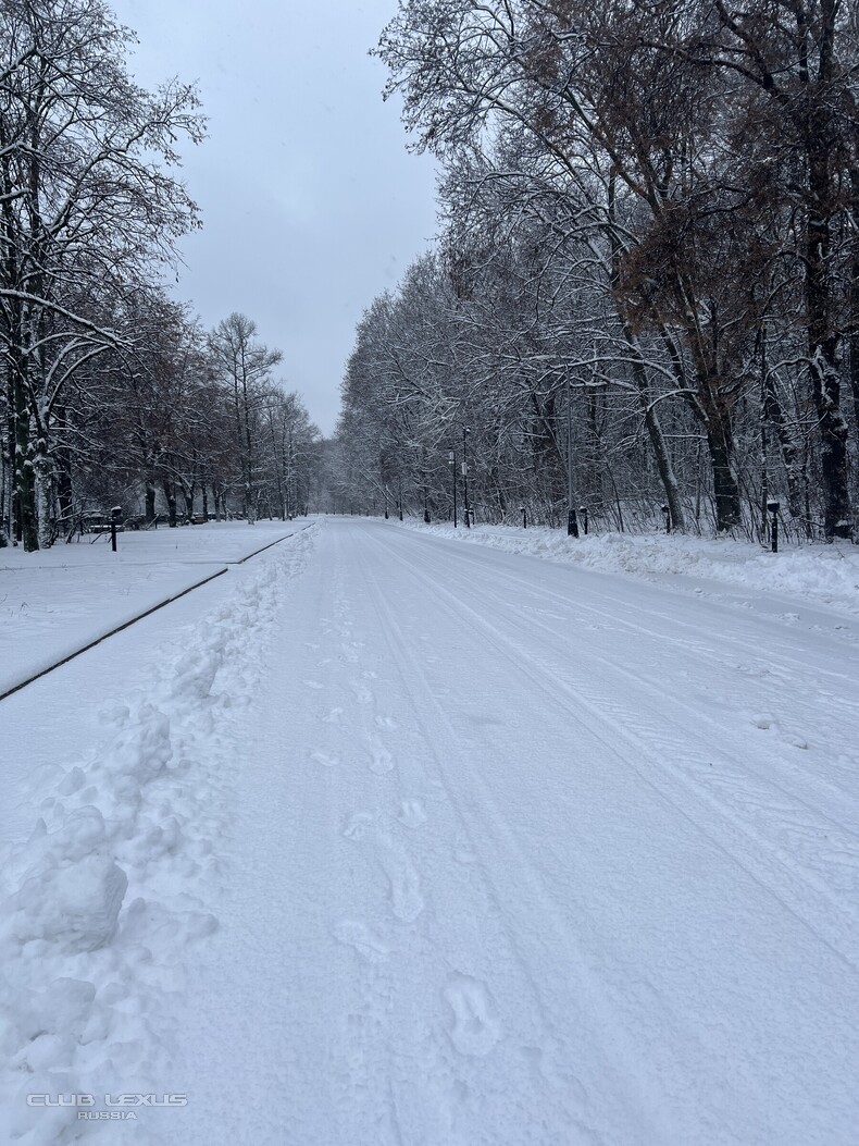 ��� ���� �631 ��������������