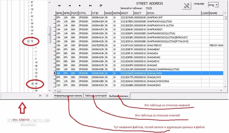 KIWI Format Explorer   �������� ���� �� ��