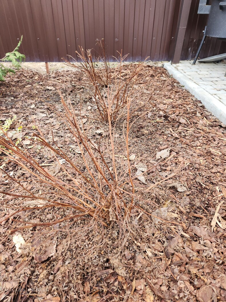 ��� ���� � 604 �����������������