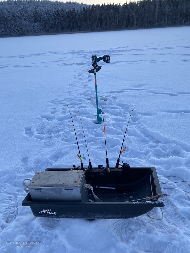 ��� ���� �631 ��������������