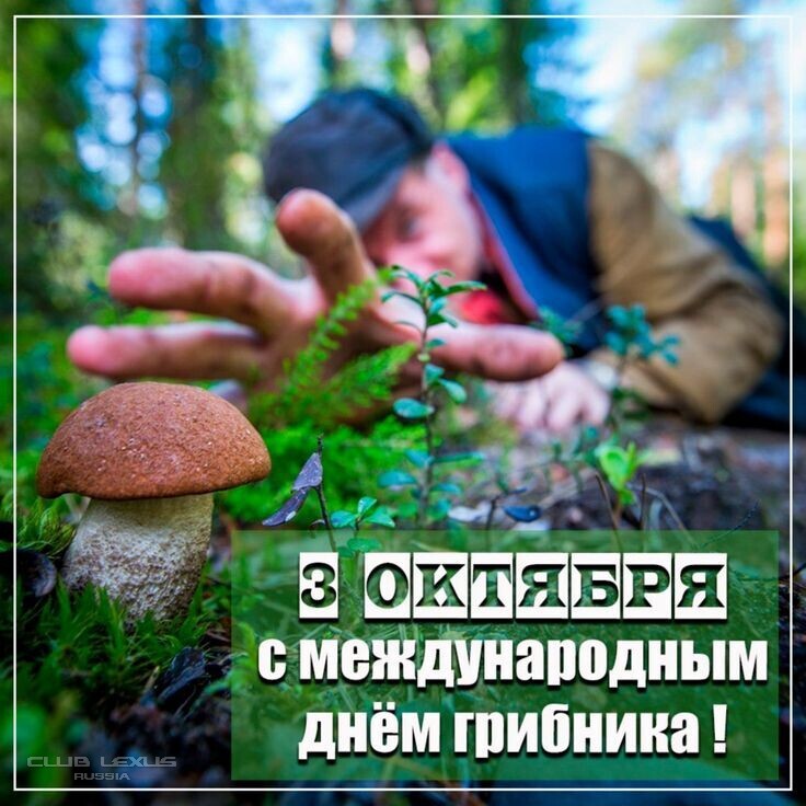 ��� ���� �641 �������������