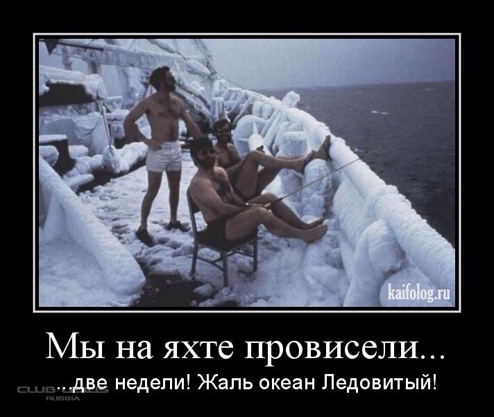 Модераторы. 