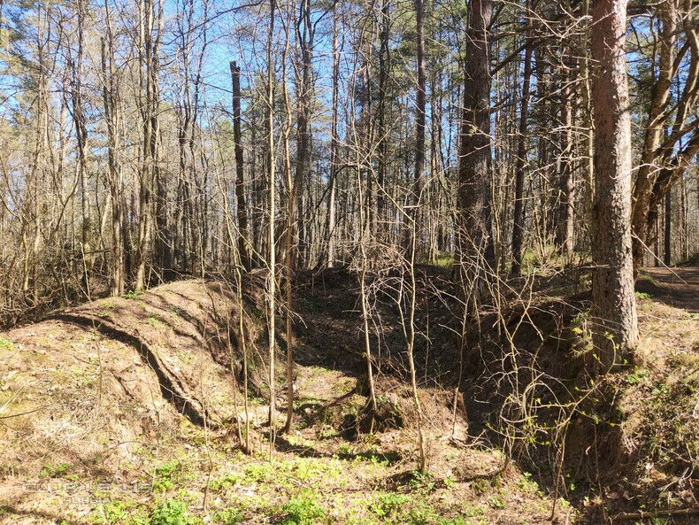 ��� ���� �636 ������������������������������