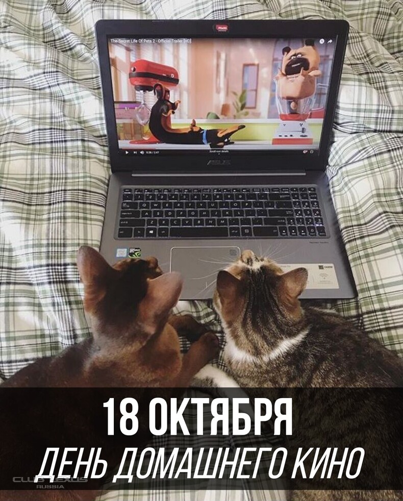   628 