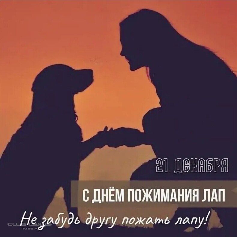 ��� ���� �631 ��������������