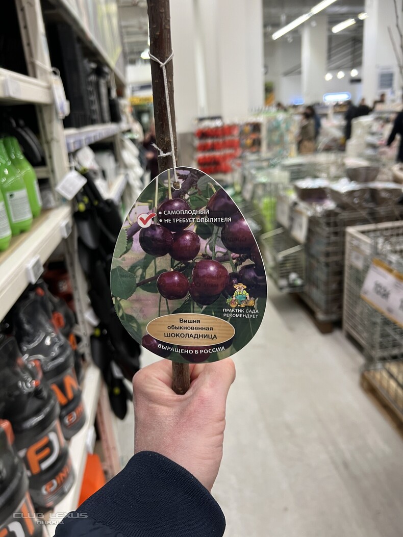 ��� ���� �634 �������������������