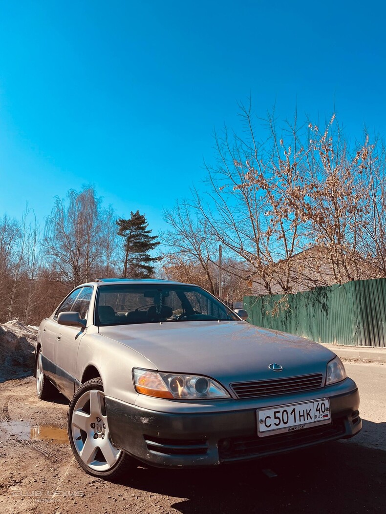 ���� Lexus ����������� [�����]