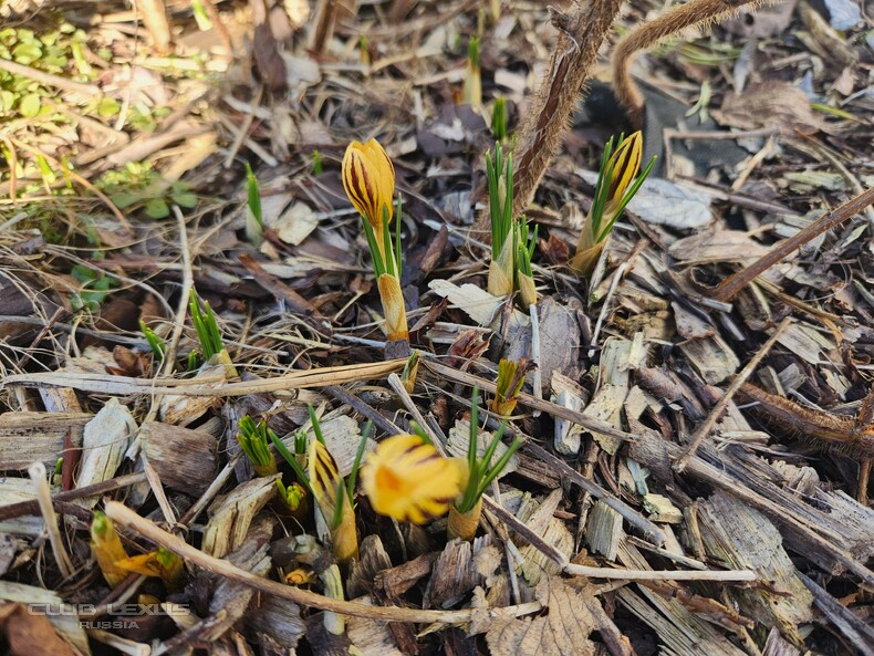 ��� ���� �635 ��������������������������