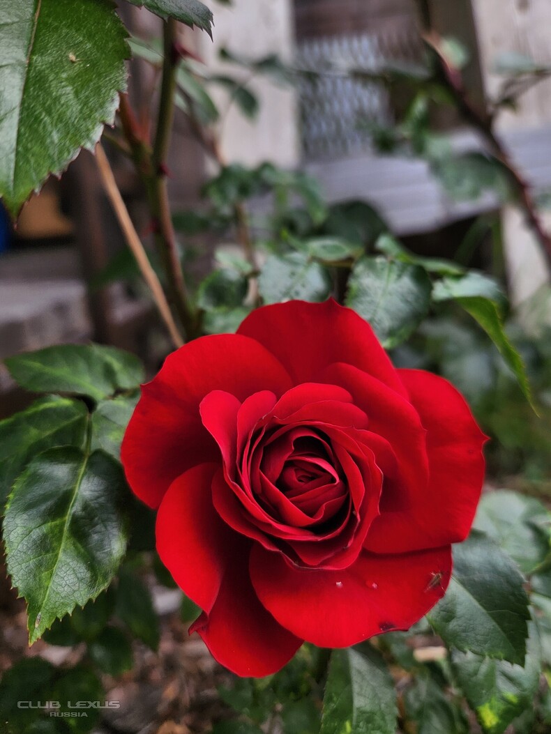 ��� ���� �638 �����������