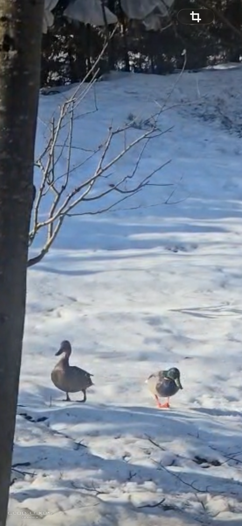 ��� ���� �635 ��������������������������