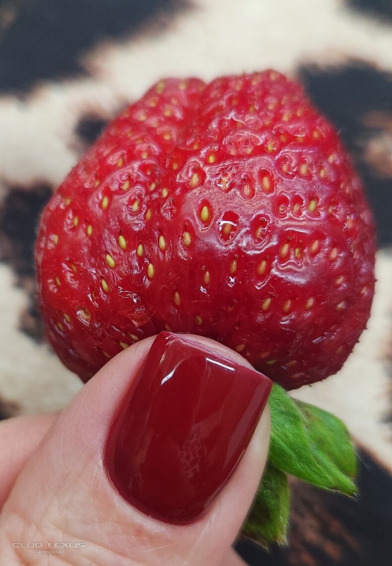 ��� ���� �636 ������������������������������