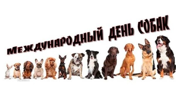 ��� ���� �638 �����������