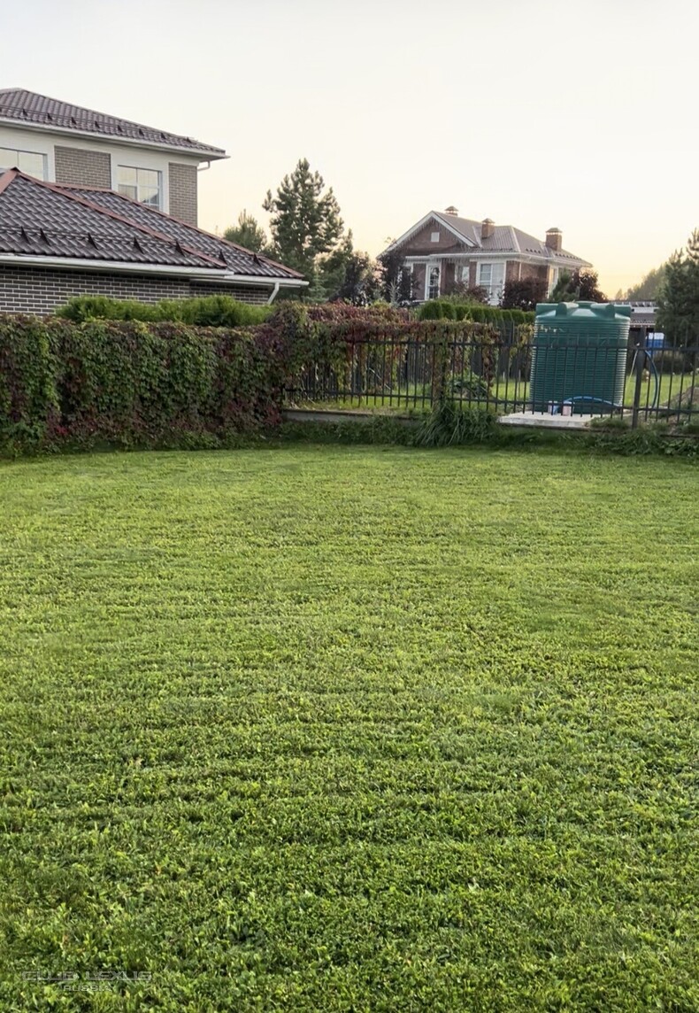 ��� ���� �636 ������������������������������