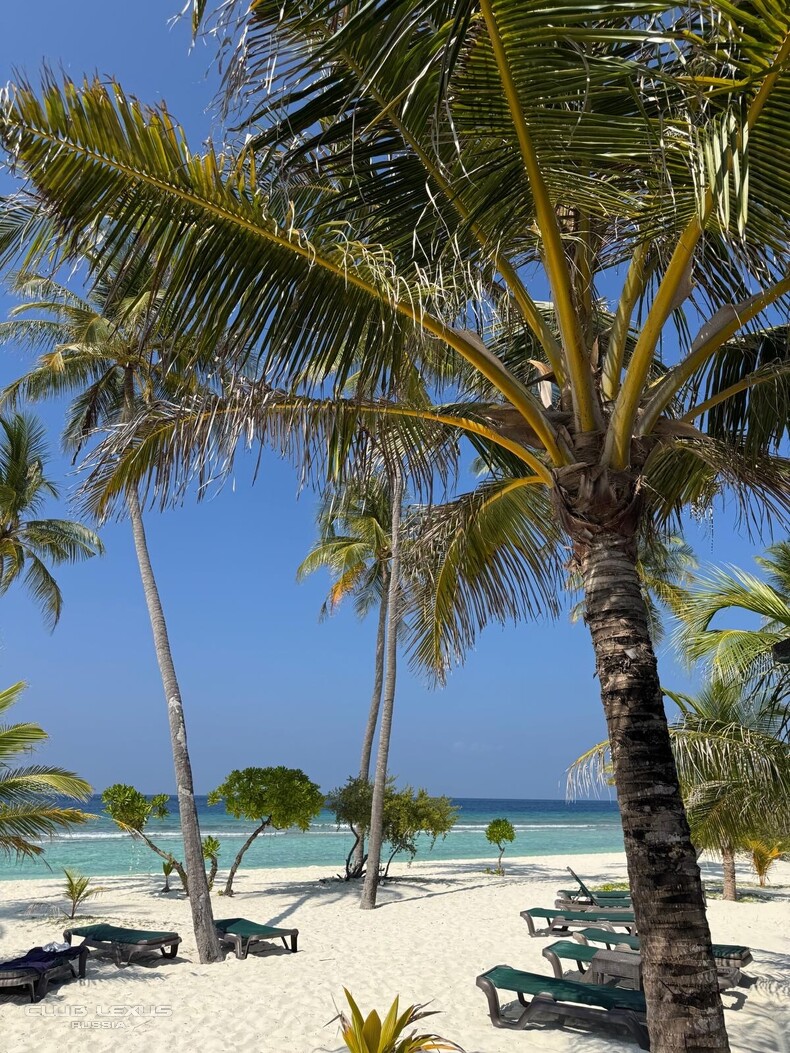 ��� ���� �632 �������������