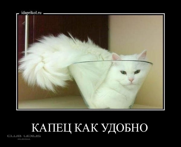 смотреть картинки капец способ отомстить