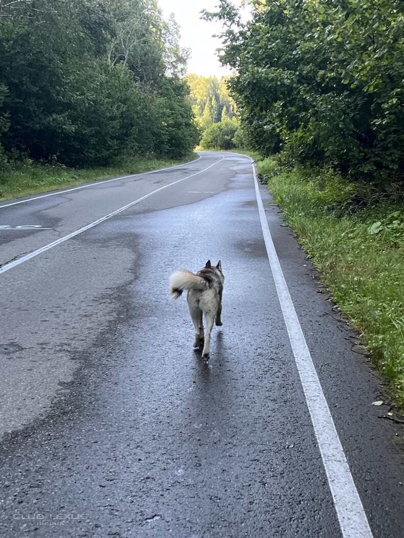 ��� ���� �640 ��������������������