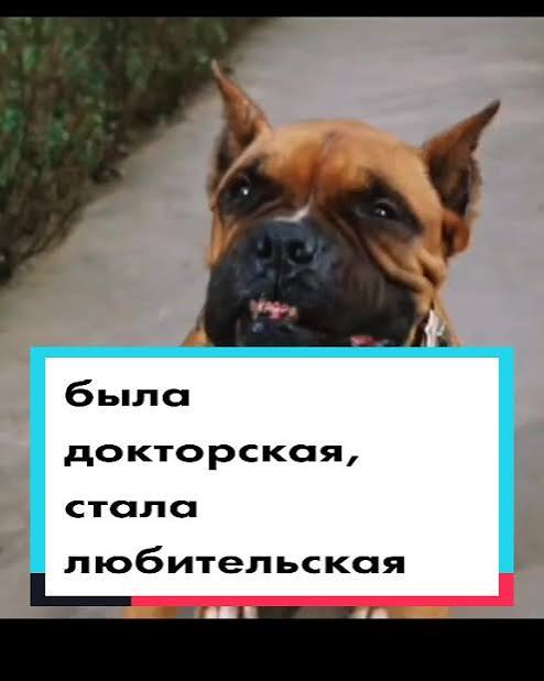 ��� ���� �641 �������������