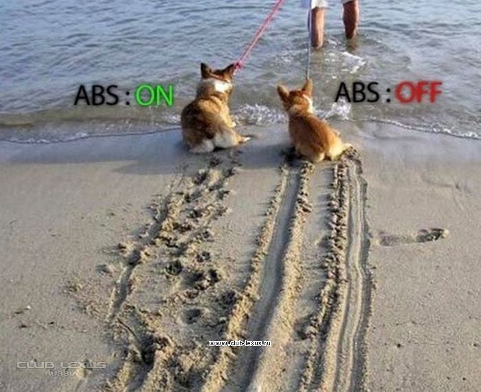      ABS!