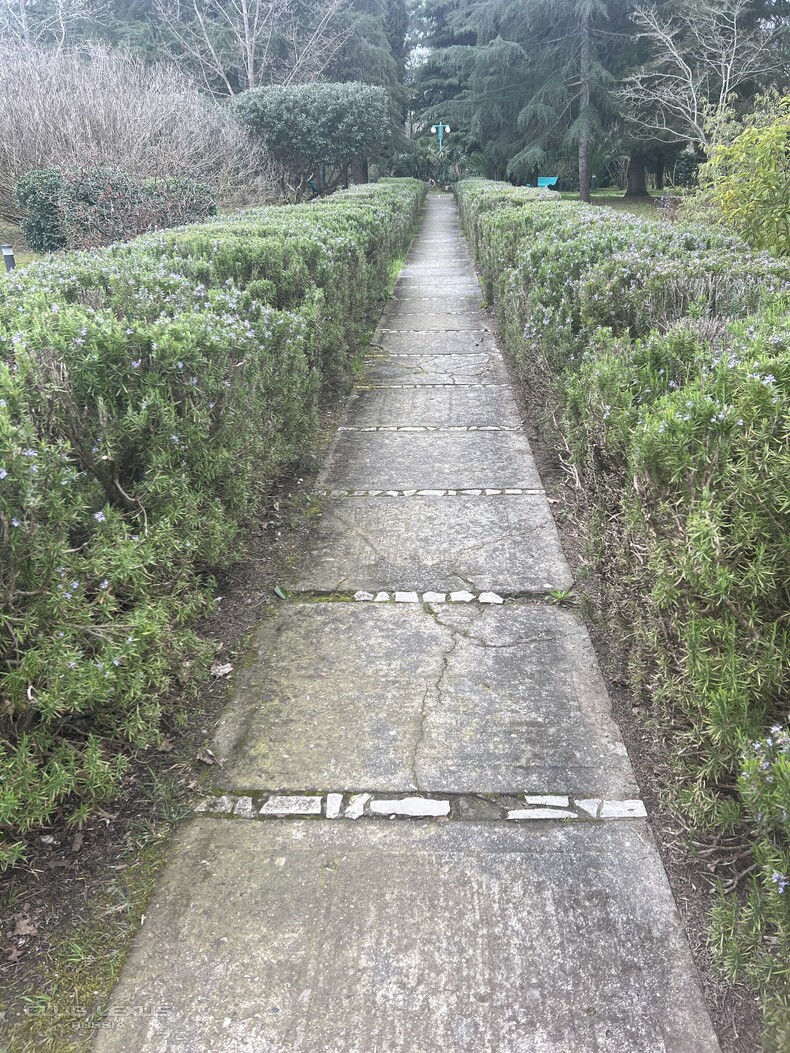 ��� ���� �635 ��������������������������