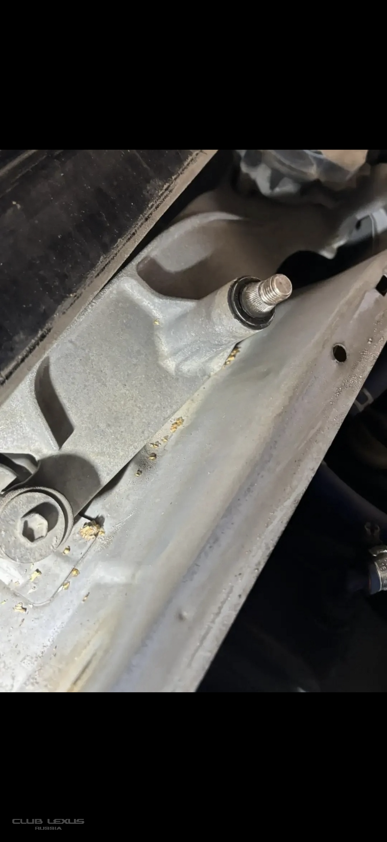 ������ vin ������ ��� ���������� ����
