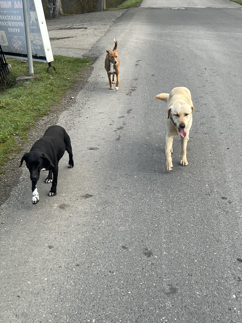 ��� ���� �635 ��������������������������