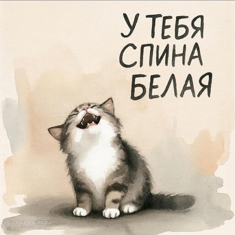 ��� ���� �635 ��������������������������