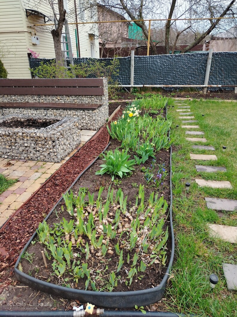 ��� ���� �636 ������������������������������