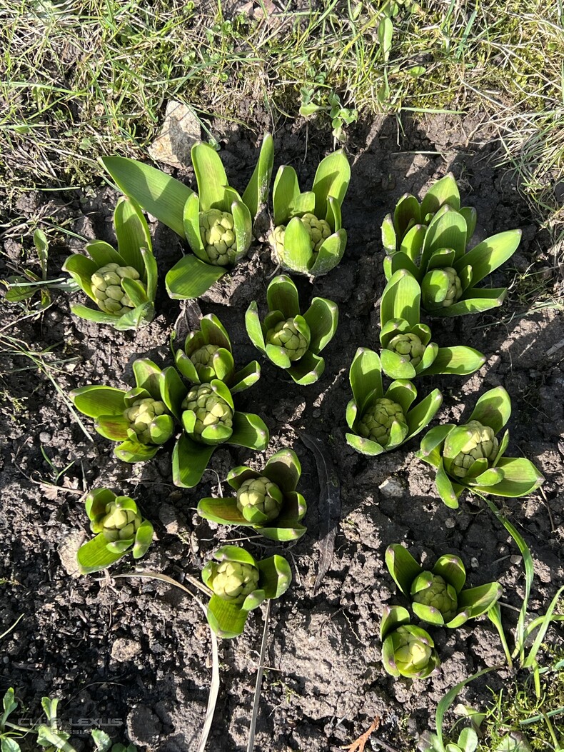 ��� ���� �635 ��������������������������