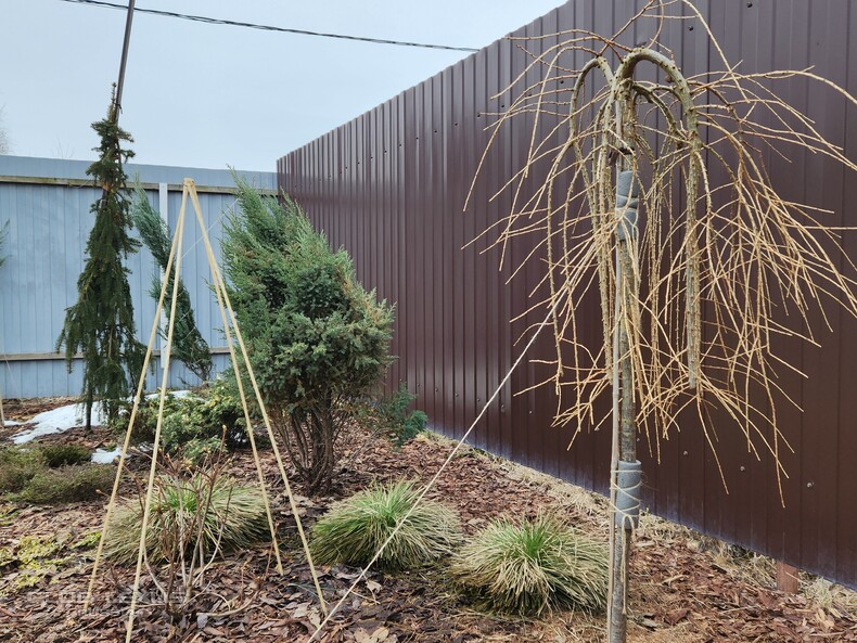 ��� ���� � 604 �����������������