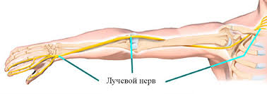 ��� ���� �634 �������������������