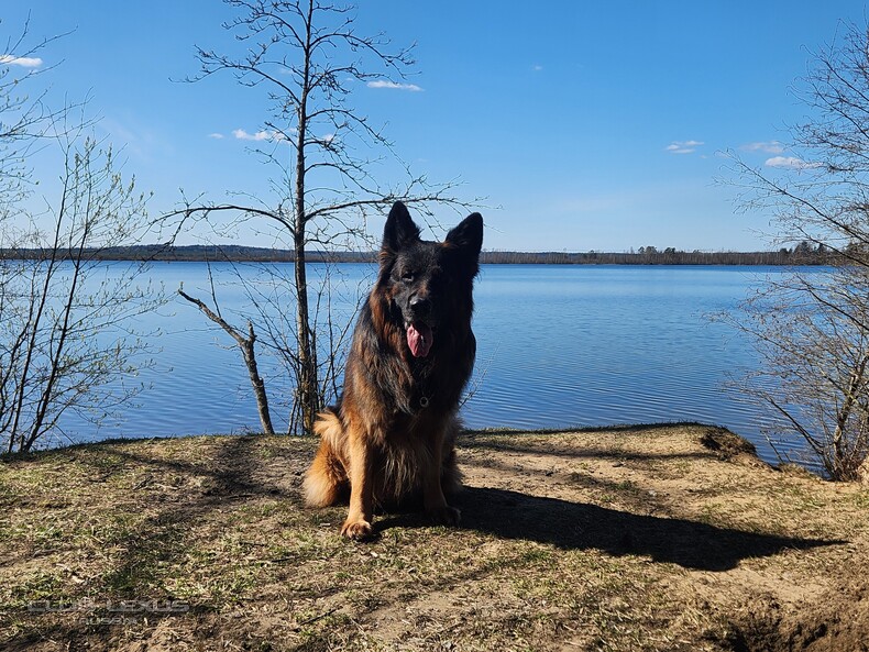 ��� ���� �636 ������������������������������