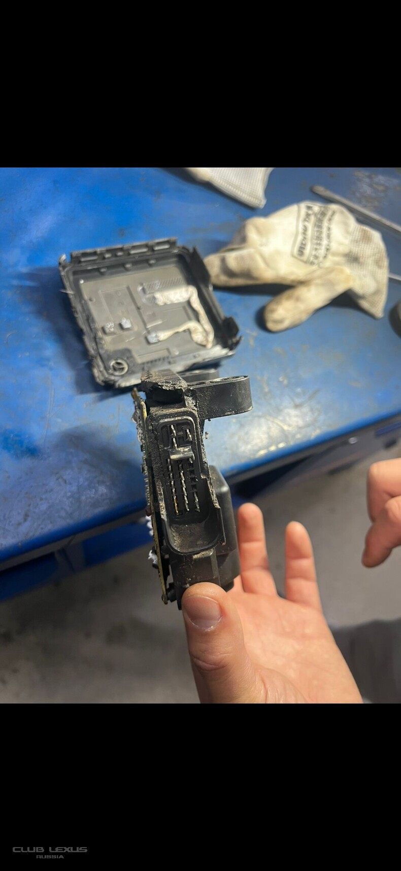 ���� ���������� ���� �������. ����� ������