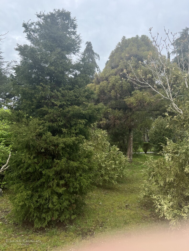 ��� ���� �635 ��������������������������