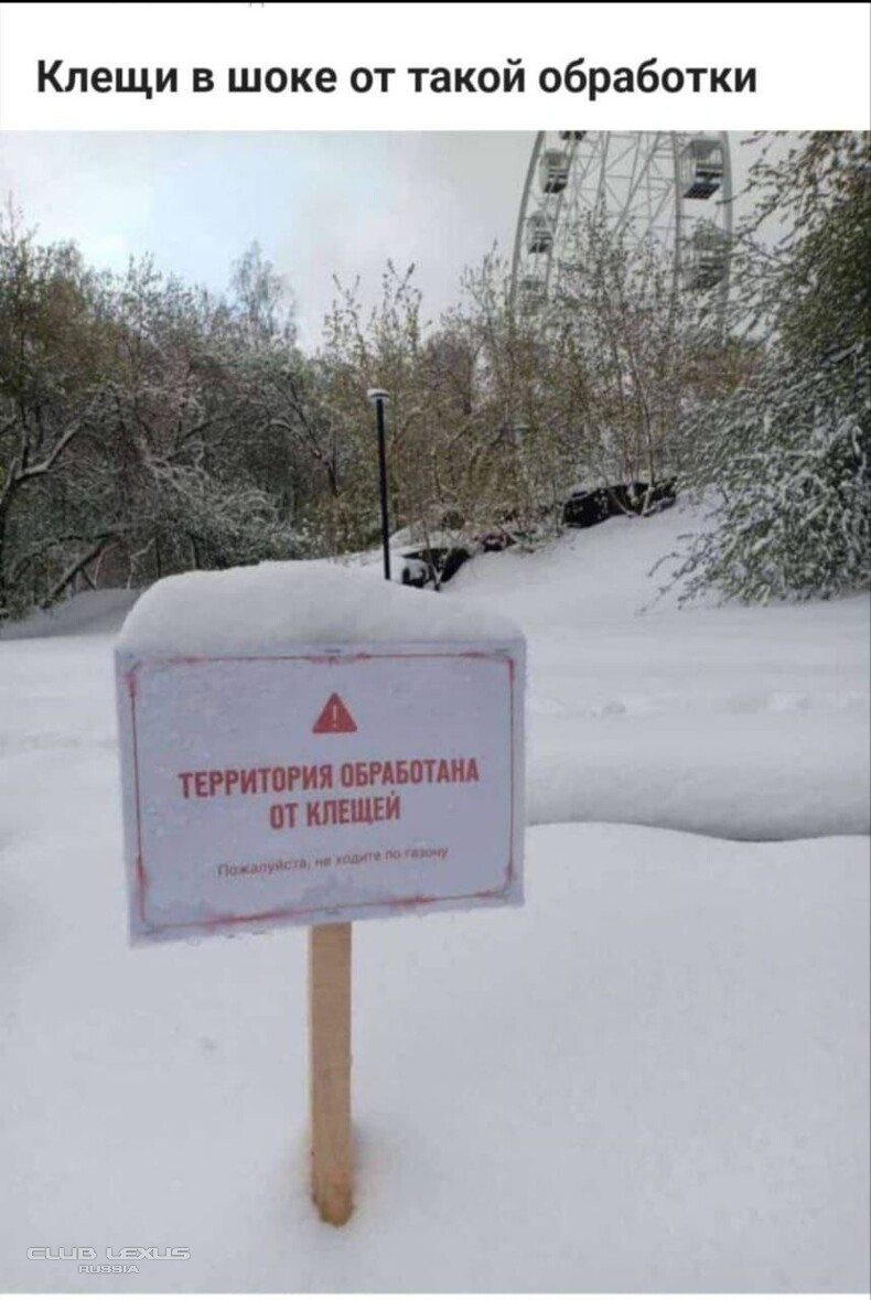 ��� ���� �636 ������������������������������