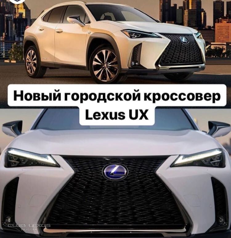  Lexus UX.     Toyota H-CR?
