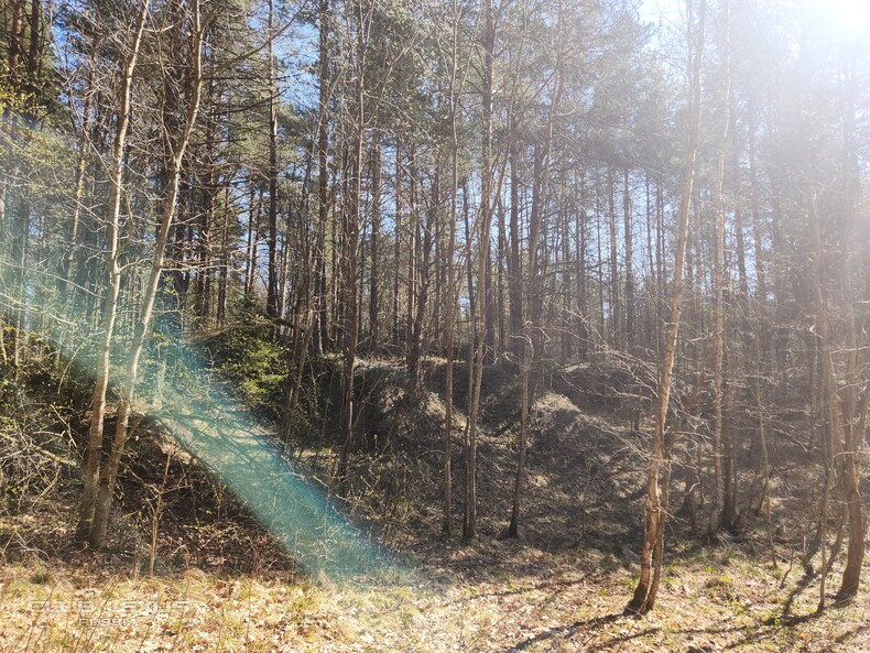 ��� ���� �636 ������������������������������