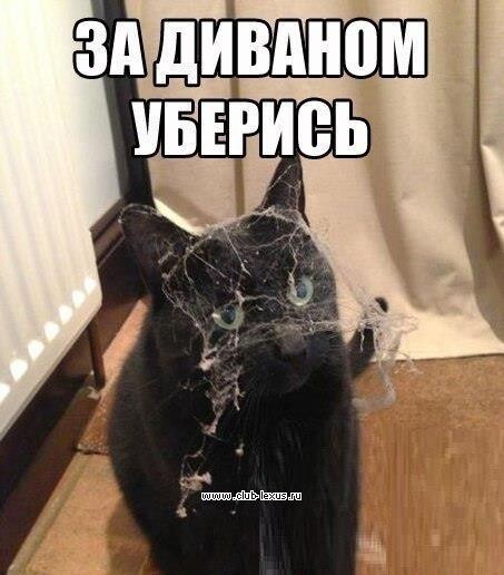  !