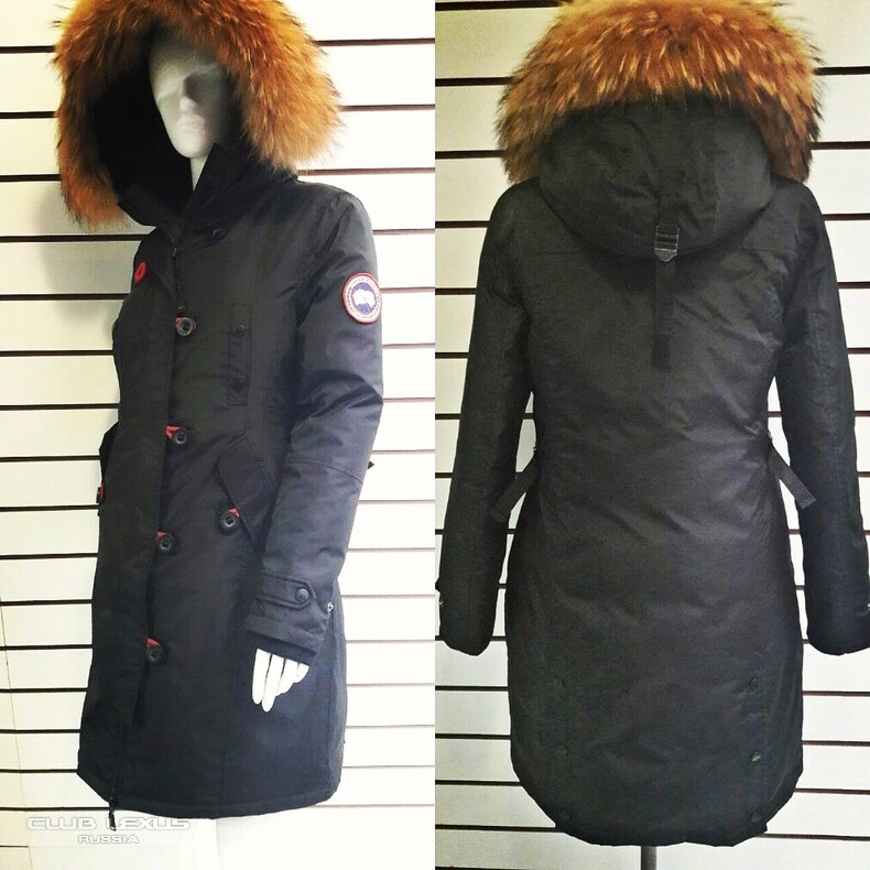 .   Burberry, Canada Goose, Pinko