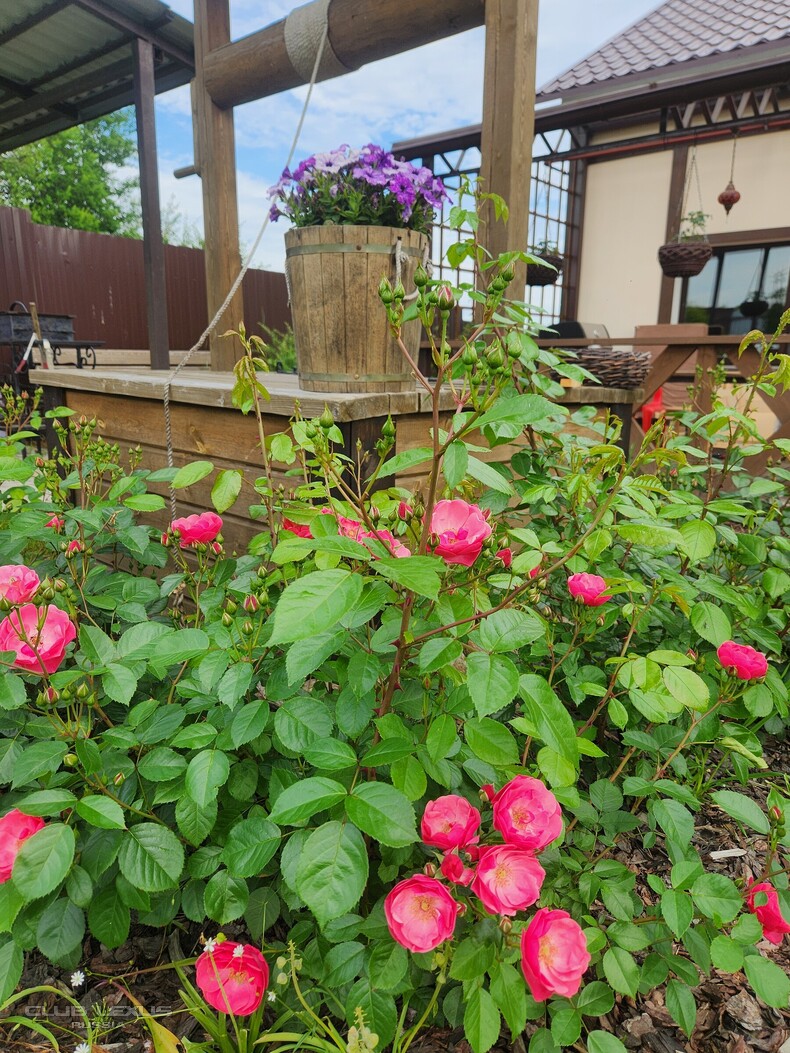 ��� ���� �638 �����������