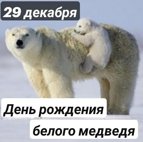 ��� ���� �631 ��������������