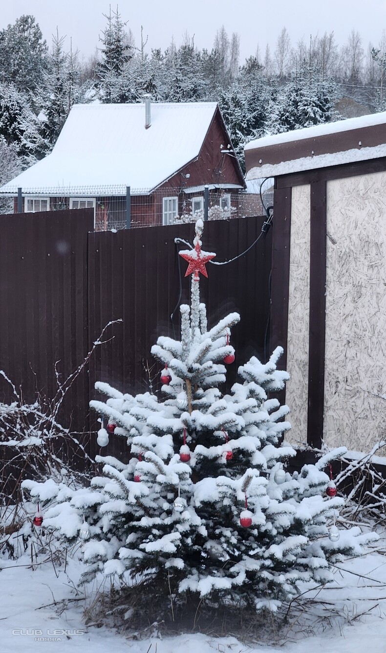 ��� ���� �631 ��������������