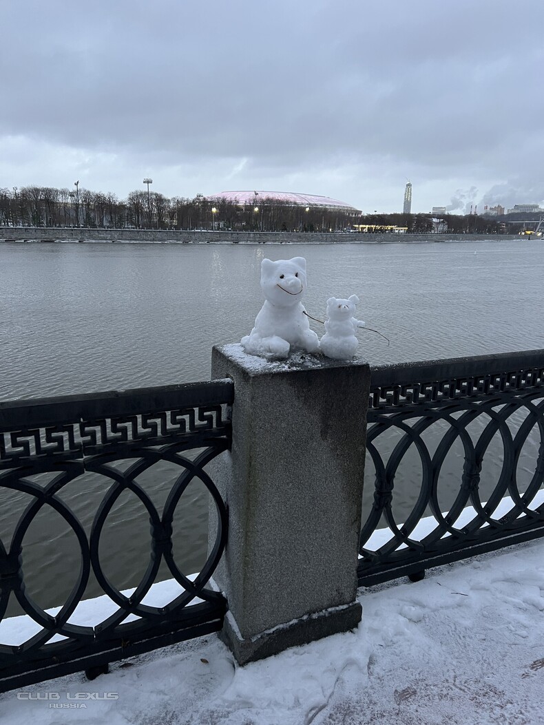 ��� ���� �631 ��������������