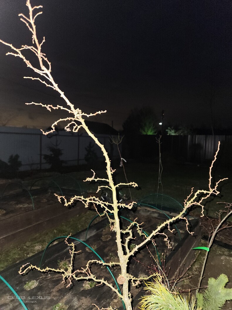 ��� ���� �636 ������������������������������