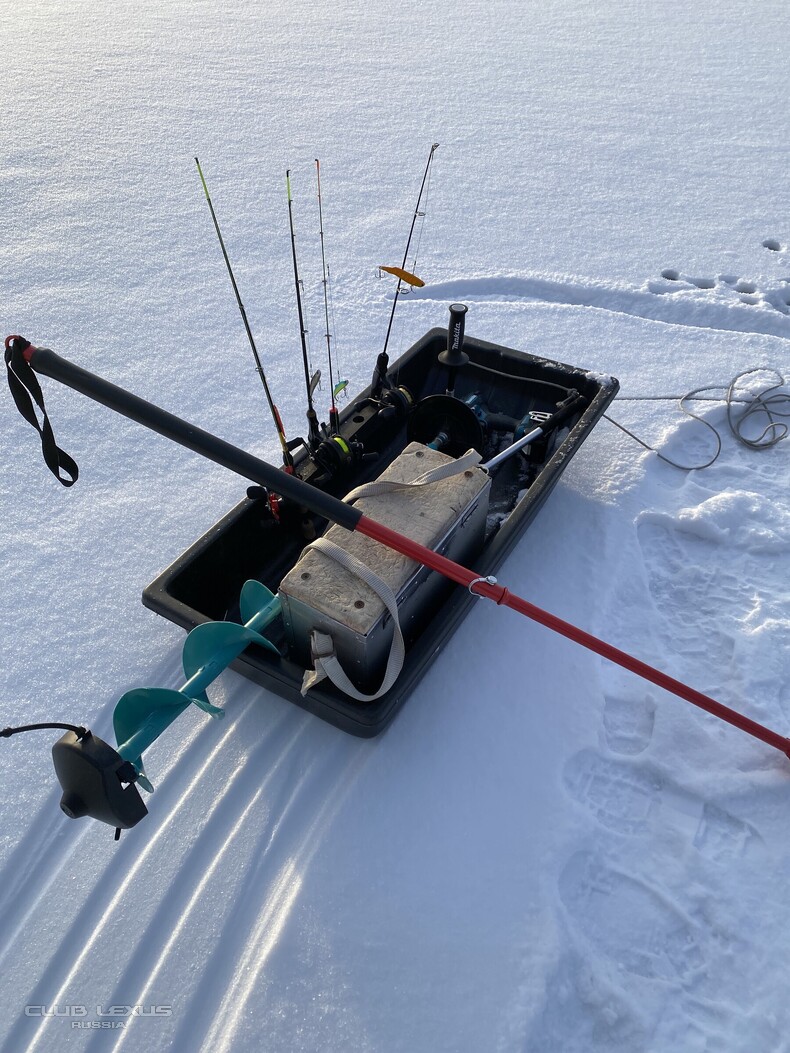 ��� ���� �631 ��������������